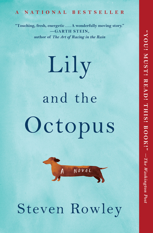 Lily and the Octopus by Steven&nbsp;Rowley
